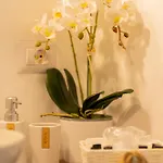 Apartment Domo Dizosa