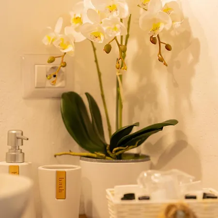 Apartment Domo Dizosa