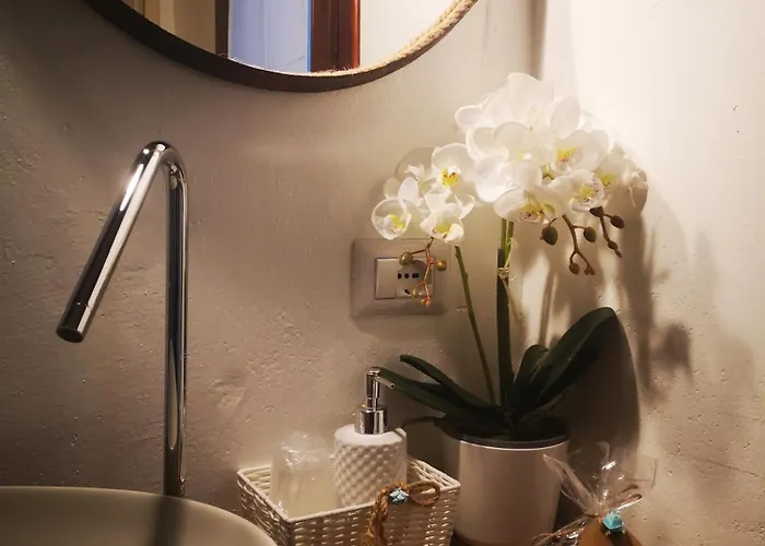 Domo Dizosa Siniscola